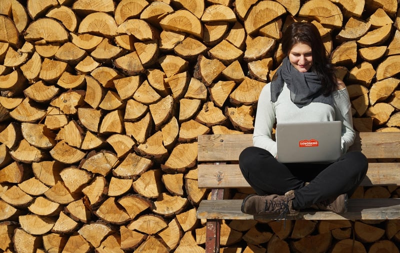 Digital Nomad
